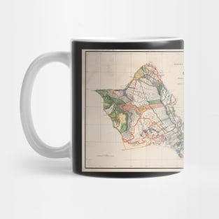 1900s Historical Oahu Map in Color Mug